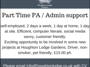Job Opportunity