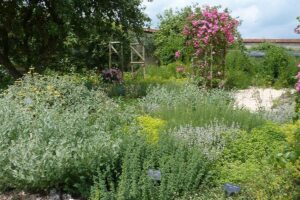 Tales from the Walled Garden