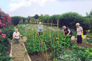The Benefits of Gardening on your Health!