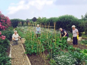 The Benefits of Gardening on your Health!