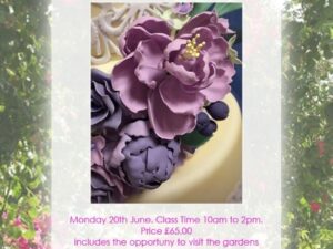 Sugar Peony Class