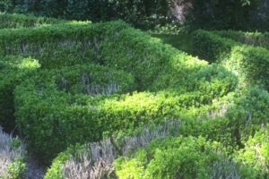 Tales from the Walled Garden