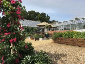 New tearoom for 2017 season