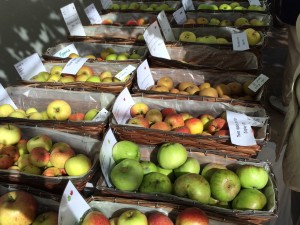 Houghton Lodge Gardens Apple Day
