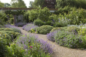 Tales from The Walled Garden : What a summer! – August 2018