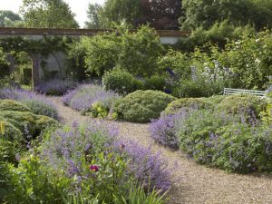 Tales from The Walled Garden : What a summer! – August 2018