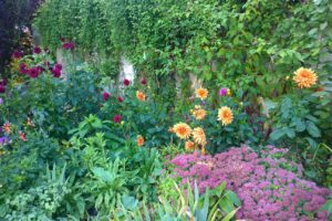 Tales from the Walled Garden: Have you noticed? – September 2018