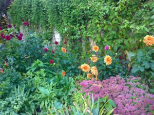 Tales from the Walled Garden: Have you noticed? – September 2018