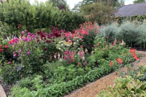 Tales from the Walled Garden: August 2020