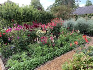 Tales from the Walled Garden: August 2020