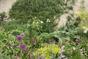 Tales from the Walled garden: April 2022 – Planning perennial borders for summer