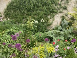 Tales from the Walled garden: April 2022 – Planning perennial borders for summer