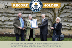 Houghton Lodge Gardens is officially a GUINNESS WORLD RECORDS™ title holder!