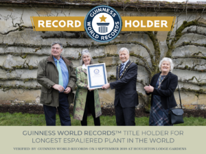 Houghton Lodge Gardens is officially a GUINNESS WORLD RECORDS™ title holder!