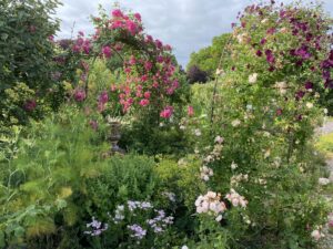 Tales from the Walled Garden: A Guide to Summer Gardening