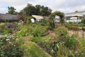 Tales from the Walled Garden: A Weird Old Month for Gardens